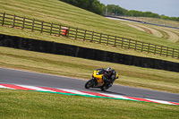 donington-no-limits-trackday;donington-park-photographs;donington-trackday-photographs;no-limits-trackdays;peter-wileman-photography;trackday-digital-images;trackday-photos
